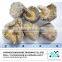 Export dried mushroom