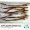 Dried eel fish suppiler from China
