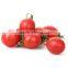 Factory price Tomato Seeds and organic Pink Cherry Tomato Seeds