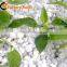 4-8mm Expanded Perlite