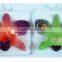Real Flower Brooch