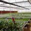Low cost movable greenhouse bench plastic for agriculture