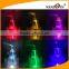 Big Mouth 500ml 700ml Colorful LED Plastic Bulb Bottle for Juice