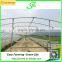 Galvanized Water Pipes Tunnel Greenhouse for Sale