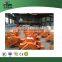 Cutting machine GQ50 Steel Bar Cutting Machine