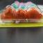 newest style kids toothbrush small head for children yangzhou famous factory