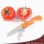 Multifunction Stainless Steel Folding Fruit Knife With Plastic Handle