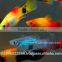 Platy Fish Farm For Sale / Ornamental Fish Exporter