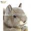 Aipinqi CSLA01 20cm stuffed squirrel toy