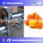 Reliable spiral pineapple juice press machine spiral orange juicer machine with stainless steel material