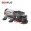 SEAFLO 12V 5.0LPM 60PSI Electric Micro Agriculture Battery Sprayer Diaphragm Pump