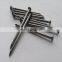 common wire nail /wood wire nail manufacturer