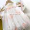 Baby Girls Dress Embroidery Flowers INS 2020 Summer Princess Dress Wholesale