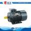 electric motor for hydraulic pump