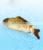 2021 Hot Selling Low Price USB Eco Robotic Flopping Automatic Dancing Moving Fish Cat Toy