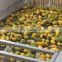 Mango juicer production line machine Automatic mango juice filling production line machines