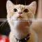 2015 New Design Good Quality Purrfect Arch