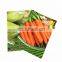vegetable seed bags seed packaging bag with zipper and hole
