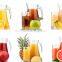 Apple Fruit Juice Belt Press Machine/Belt type juice extractor