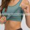 Ready To Ship New Ribbed Sexy In Build Bra Yoga Crop Top Fitness Gym Wear Women Workout Physical Activity Wear Tank Top