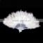 Wholesale Child big ostrich feather fan Party supplies                        
                                                                Most Popular