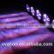 indoor use COB pixel 5X30W bar gym wall bars theatre club