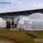 Geodesic dome tent Event dome tent White PVC cover White UV-protection for sale