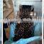 High pressure Briquetting Machine For Coal ,Coke ,Gypsum Powder