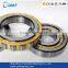 55X100X21 Cylindrical Roller Bearing N211