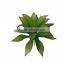 PVC MINI indoor single plastic aloe Artificial succulent plant