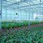 Solar Vegetalbe Greenhouse