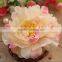 New high quality nature touch Artificial Flowers Home Decoration Flowerheads Cheap China single Peony