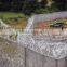 Fence with razor barbed wire to stop refugg/ refugg wall