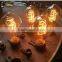 C35 edison bulb 60W