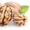 Chinese Juglans regia Extract Walnuts for wholesale