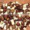 Polish Wild Dried Buttom Mushroom