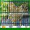 Factory direct sale high security residential fence/Duoble wire fence