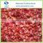 Sell Diced IQF Red Bell Pepper