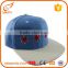 wholesale Cheap plain low profile snapback hat custom