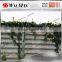 WF-AF017 WALMAX porous steel wind protection barrier for agriculture micro-climate
