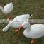 Inflatable Goose Decoty