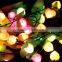 New product special design outdoor christmas led string light from China