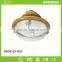 High Power Outdoor Lamp Proof Lighting Electroless Lamp