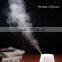 100ml Aromatherapy Essential Oil Diffuser Portable Ultrasonic Cool Mist Aroma Humidifier with Color LED Lights Changing