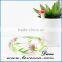 2016 Gypsophila with Real Flower Resin bracelet bangle