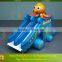 Giant Inflatable Water Slide for Adult