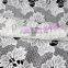 Newest White Polyester Cotton Garment Fabric, Cotton Flower Mesh Knit Fabric for Bride Dress