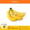 Top Selling Farm Banana from Standard Company
