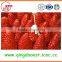 Bulk High quality chinese Fresh Strawberry