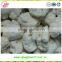 2015 Bulk New crop Chinese Frozen Cauliflower